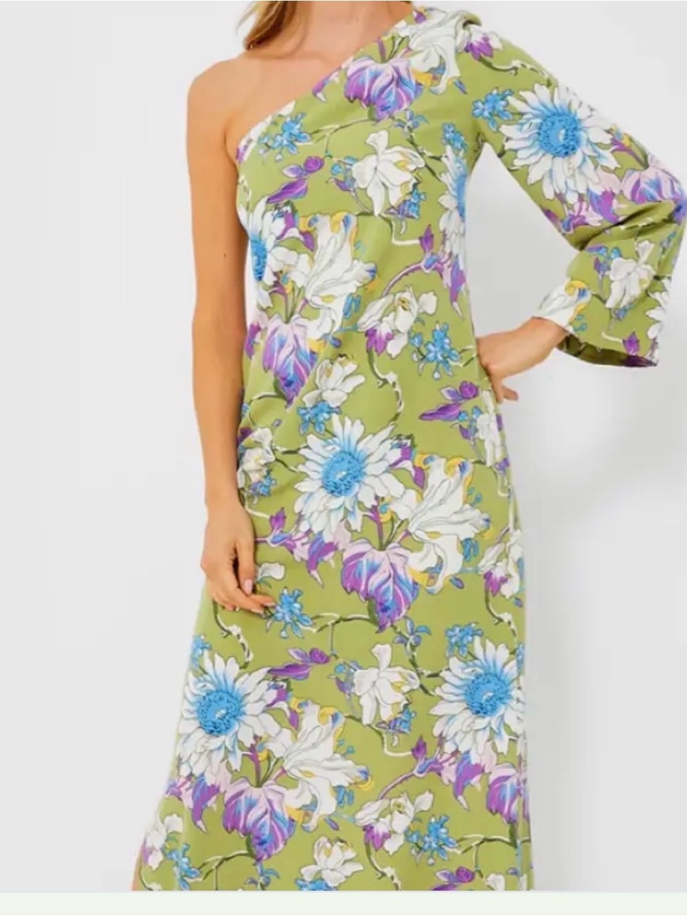 Tuckernuck Hyacinth House One Shoulder Odelia Maxi Dress Green Sz S - Picture 2 of 13
